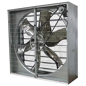 Các yếu tố thiết kế của hệ thống thông gió cho chuồng đẻ