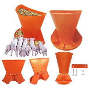 Chậu nhựa treo tường cho heo con
